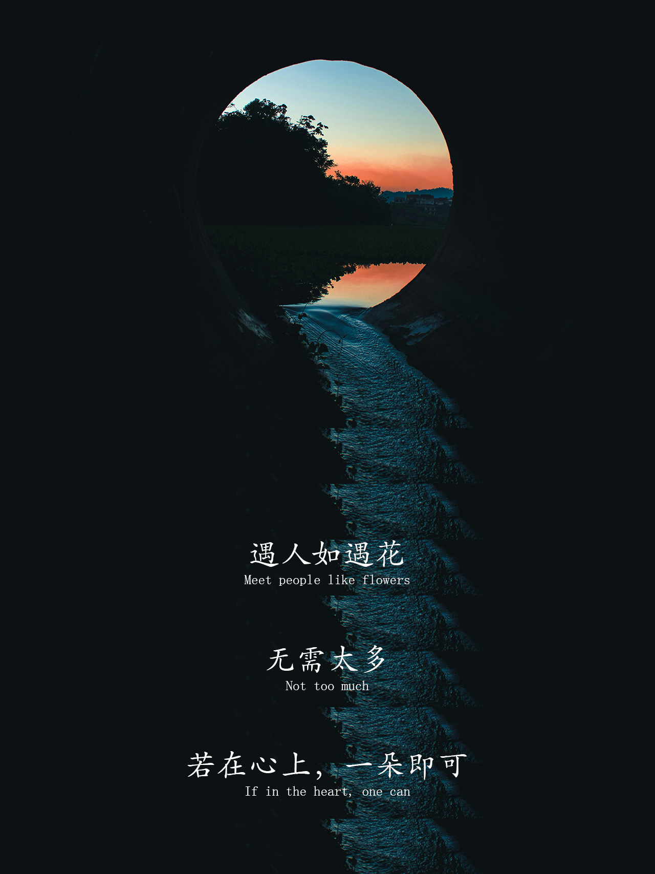 世界尽头无容身，心灵归处在莲花间