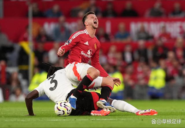 富勒姆主场不敌，球队状况逐渐下滑的简单介绍