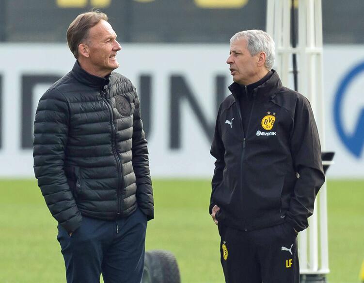 od体育在线登录-沙尔克寻找突破，力争逆转不利局面的简单介绍